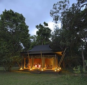 Elephant Pepper Camp Maasai Mara Luaran gambar
