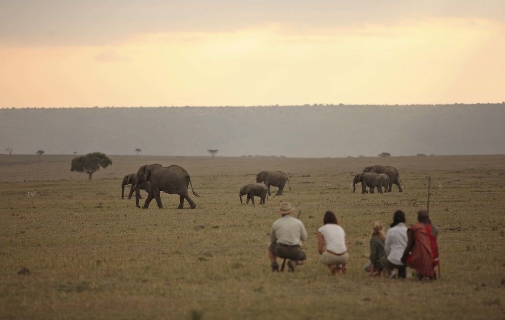 Elephant Pepper Camp Maasai Mara Luaran gambar